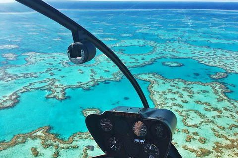 Reef & Whitehaven Landing - Accommodation Port Macquarie 1