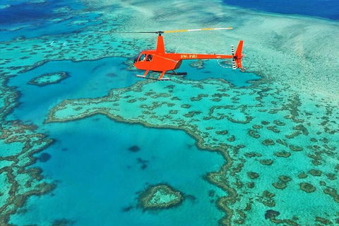 Reef & Whitehaven Landing - Accommodation Port Macquarie 4