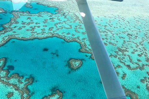 Whitsunday Islands 1-Hour Reef Scenic Helicopter Tour - Accommodation Port Macquarie 3