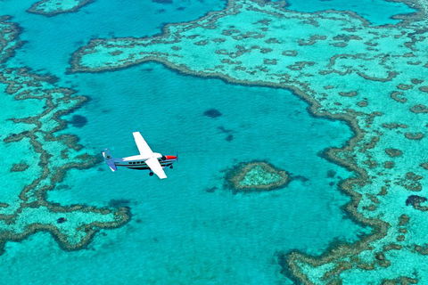 Reef And Island Scenic Flight From Airlie Beach - Accommodation Port Macquarie 4