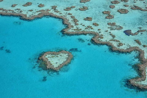 Reef And Island Scenic Flight From Airlie Beach - Accommodation Port Macquarie 5