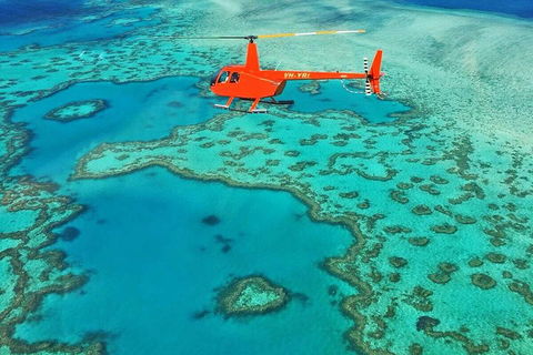 Whitehaven Heli Tour - Accommodation Port Macquarie 3