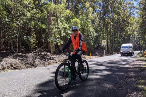 Mount Wellington Descent Cycling Tour Departs Hobart - Accommodation Port Macquarie 3