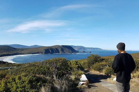 Small-Group Day Trip From Hobart To Bruny Island - Accommodation Port Macquarie 0