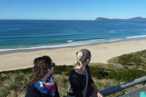 Small-Group Day Trip From Hobart To Bruny Island - Accommodation Port Macquarie 3
