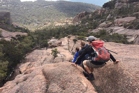 2-Day Tas East Coast Escape Tour Including Bay Of Fires, Wineglass Bay & Devils - Accommodation Port Macquarie 2