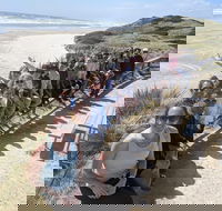3 Day Tasmanian Wild West Coast Tour from Hobart to Launceston - Accommodation Port Macquarie