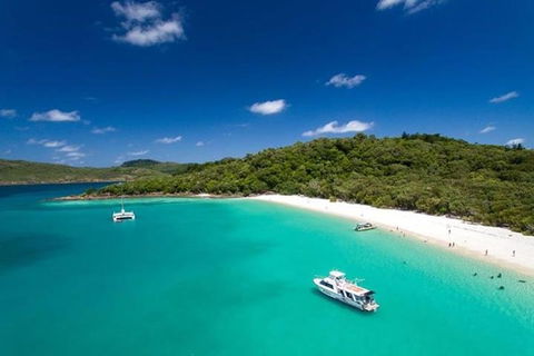 Whitehaven Beach And Hill Inlet | Awesome Beach BBQ | Family Friendly - Accommodation Port Macquarie 3