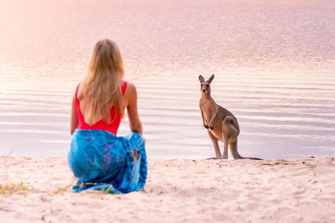 Serenity Cruise To Australia's Everglades - Accommodation Port Macquarie 3