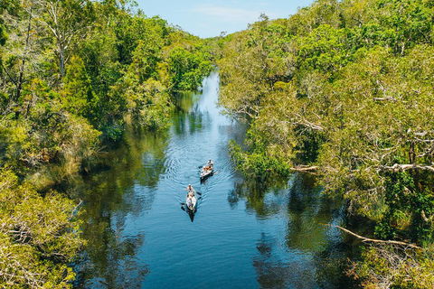 Cruise 'n' Canoe To Australia's Everglades - Accommodation Port Macquarie 3