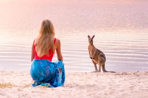 Cruise 'n' Canoe To Australia's Everglades - Accommodation Port Macquarie 5