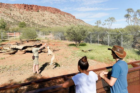 Alice Springs Desert Park General Entry Ticket - Accommodation Port Macquarie 4