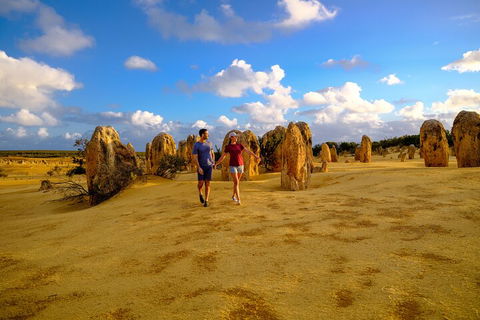 Half Day Pinnacles Sunset Tour - Accommodation Port Macquarie 1