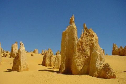 Half Day Pinnacles Sunset Tour - Accommodation Port Macquarie 2