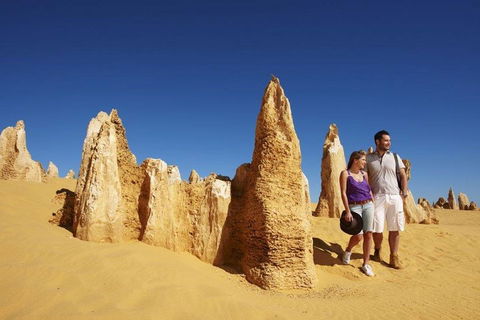 Half Day Pinnacles Sunset Tour - Accommodation Port Macquarie 4