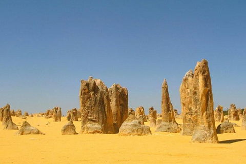 Half Day Pinnacles Sunset Tour - Accommodation Port Macquarie 5