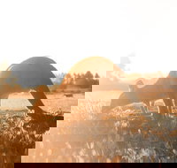 Small Group - 12 Apostles Otways  Great Ocean Road Day Tour from Melbourne - Accommodation Port Macquarie