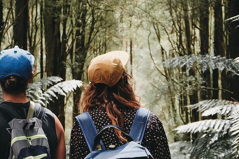 Small Group - 12 Apostles, Otways & Great Ocean Road Day Tour From Melbourne - Accommodation Port Macquarie 3