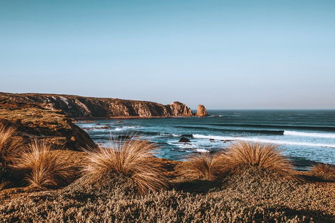 Small Group - Phillip Island Hike & Penguin Parade Day Tour From Melbourne - Accommodation Port Macquarie 0