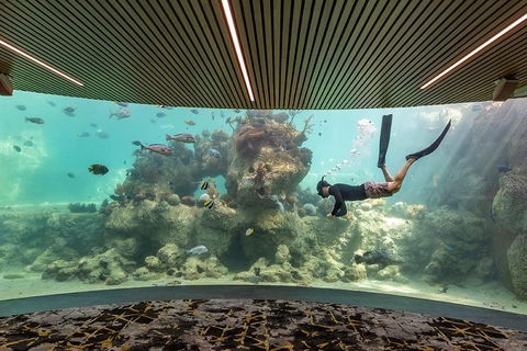 Whitehaven Beach And Daydream Island Cruise - Accommodation Port Macquarie 4