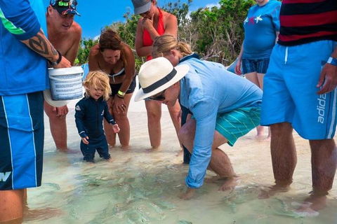 Whitehaven Beach And Hamilton Island Cruise - Accommodation Port Macquarie 1