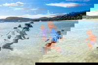 Book Viator Accommodation Vacations Accommodation Port Macquarie Accommodation Port Macquarie