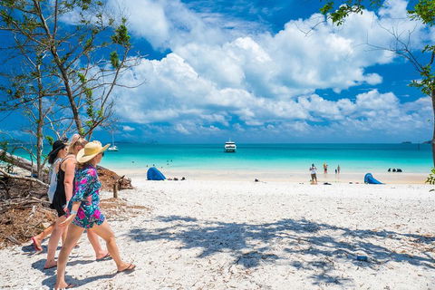 Whitehaven Beach Half-Day Cruises - Accommodation Port Macquarie 1