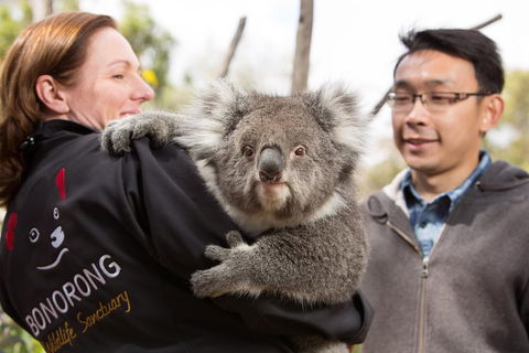 Bonorong Wildlife Park And Richmond Afternoon Tour From Hobart - Accommodation Port Macquarie 0