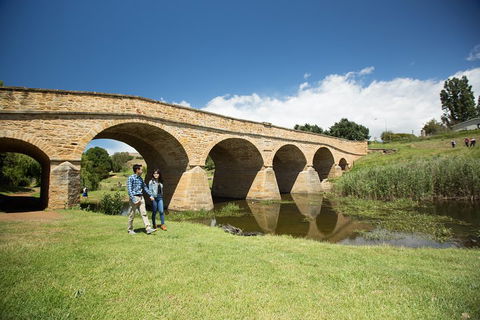 Bonorong Wildlife Park And Richmond Afternoon Tour From Hobart - Accommodation Port Macquarie 2