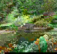 Hobart Half-Day Sightseeing Coach Tram Tour - Accommodation Port Macquarie