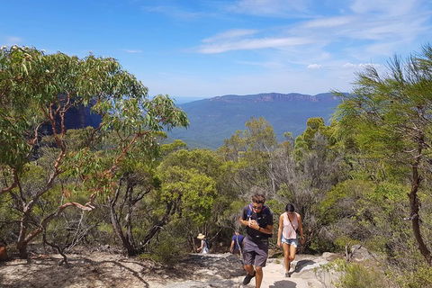 Blue Mountains Unique Small-Group Day Adventure With BBQ Lunch - Accommodation Port Macquarie 3