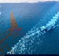2-Night Whitsunday Islands Sailing Adventure on Trimaran Avatar - Accommodation Port Macquarie
