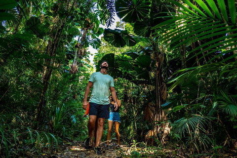 Full Day Daintree Rainforest And Mossman Gorge Tour - Accommodation Port Macquarie 0