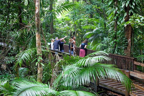 Full Day Daintree Rainforest And Mossman Gorge Tour - Accommodation Port Macquarie 1