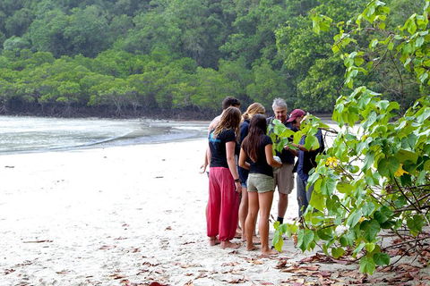 Full Day Daintree Rainforest And Mossman Gorge Tour - Accommodation Port Macquarie 2