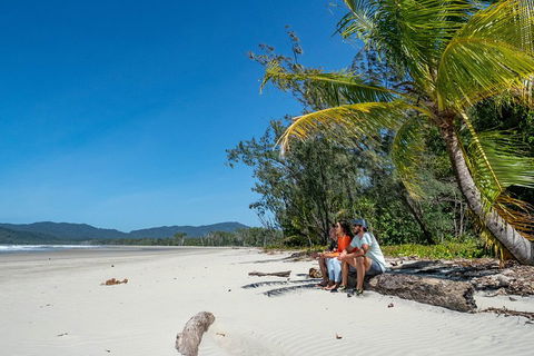 Full Day Daintree Rainforest And Mossman Gorge Tour - Accommodation Port Macquarie 4