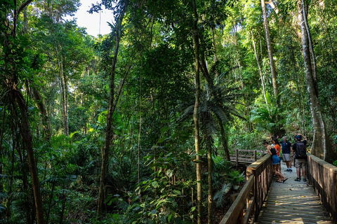 Full Day Daintree Rainforest And Mossman Gorge Tour - Accommodation Port Macquarie 5