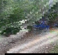 Cairns ATV Adventure Tour and Morning Train - Accommodation Port Macquarie