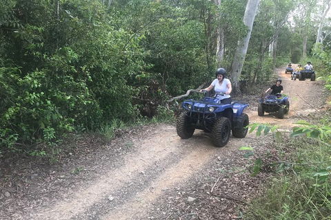 Cairns ATV Adventure Tour And Morning Train - Accommodation Port Macquarie 0