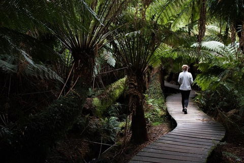 Private Tour Of Melbourne - Accommodation Port Macquarie 2