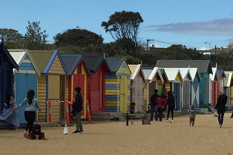 Private Half Day Melbourne City Tour With Local Guide - Accommodation Port Macquarie 2