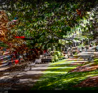 Fully Inclusive Blue Mountains Private Tour inc Scenic World  Featherdale entry - Accommodation Port Macquarie