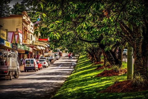 Fully Inclusive Blue Mountains Private Tour Inc Scenic World & Featherdale Entry - Accommodation Port Macquarie 0
