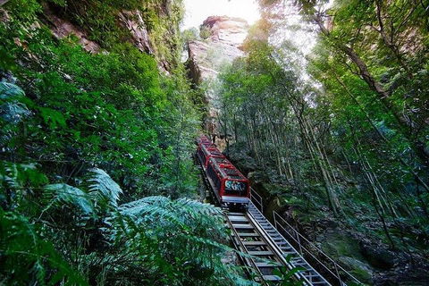 Fully Inclusive Blue Mountains Private Tour Inc Scenic World & Featherdale Entry - Accommodation Port Macquarie 4