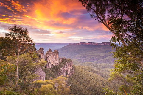 Fully Inclusive Blue Mountains Private Tour Inc Scenic World & Featherdale Entry - Accommodation Port Macquarie 5