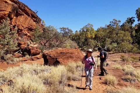 Palm Valley And Hermannsburg 1 Day 4WD Tour - Accommodation Port Macquarie 1