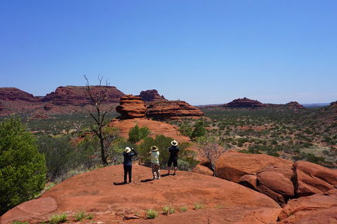 Palm Valley And Hermannsburg 1 Day 4WD Tour - Accommodation Port Macquarie 2