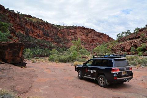 Palm Valley And Hermannsburg 1 Day 4WD Tour - Accommodation Port Macquarie 5