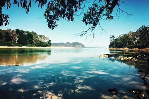 Full-Day Guided Bruny Island Tour From Hobart - Accommodation Port Macquarie 1