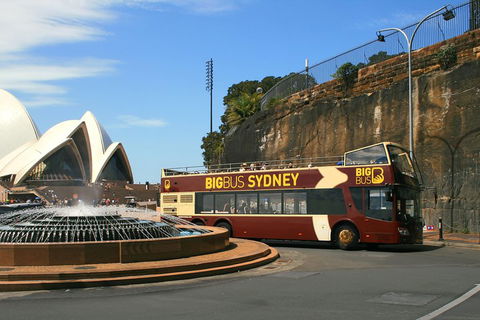 Big Bus Sydney And Bondi Hop-on Hop-off Tour - Accommodation Port Macquarie 3